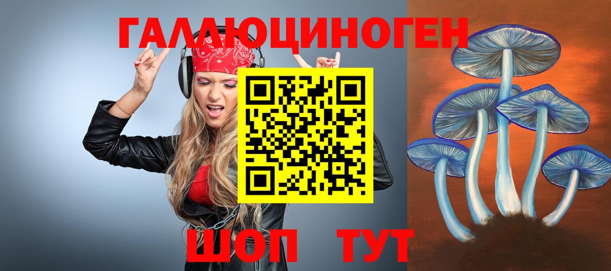 Кунгур  Галлюциногенные грибы прущие грибы  Псилоцибиновые грибы мицелий  Вход с VPN 